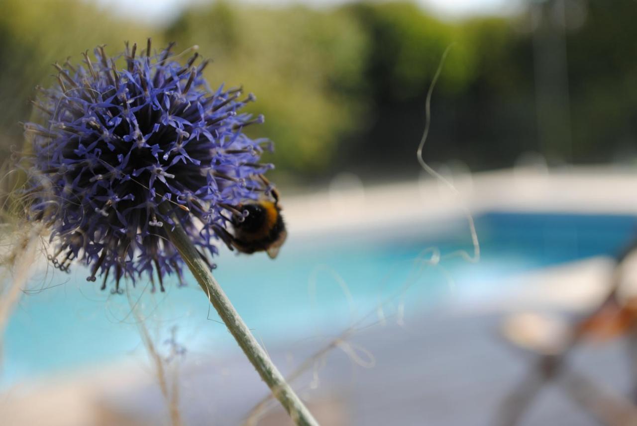 Eco-Gite - Domaine De La Gavolerie Bessé-sur-Braye Eksteriør bilde