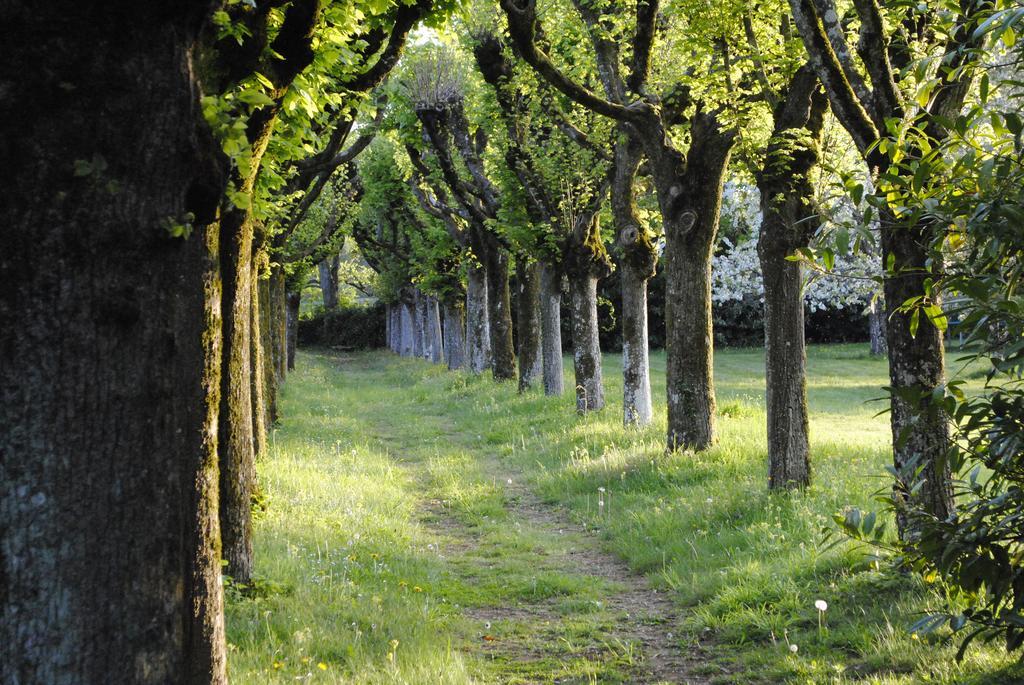 Eco-Gite - Domaine De La Gavolerie Bessé-sur-Braye Eksteriør bilde