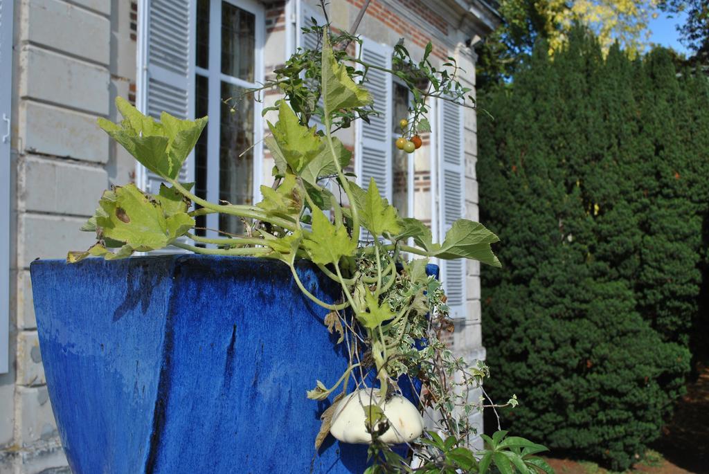 Eco-Gite - Domaine De La Gavolerie Bessé-sur-Braye Eksteriør bilde